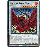 LDS2-IT110 Drago Rosa Nera (scritta VIOLA) ultra rara 1a Edizione (IT) -NEAR MINT-