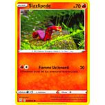 029 / 163 Sizzlipede Comune normale (IT) -NEAR MINT-