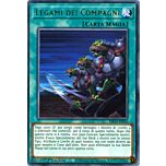 KICO-IT053 Legami dei Compagni rara 1a Edizione (IT) -NEAR MINT-