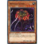 MP21-IT009 Ibicella Lutea comune 1a Edizione (IT) -NEAR MINT-