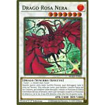 MGED-IT026 Drago Rosa Nera (Alternate Art) premium rara oro 1a Edizione (IT) -NEAR MINT-