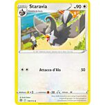 118 / 172 Staravia Non comune normale (IT) -NEAR MINT-