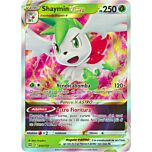 014 / 172 Shaymin V ASTRO Rara Holo V ASTRO foil (IT) -NEAR MINT-