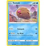 031/189 Swinub Comune normale (EN) -NEAR MINT-