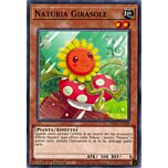 HAC1-IT102 Naturia Girasole comune 1a Edizione (IT) -NEAR MINT-