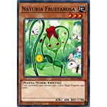 HAC1-IT099 Naturia Frustarosa comune 1a Edizione (IT) -NEAR MINT-