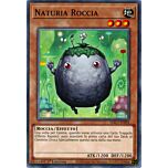 HAC1-IT094 Naturia Roccia comune 1a Edizione (IT) -NEAR MINT-