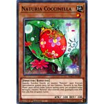 HAC1-IT109 Naturia Coccinella comune 1a Edizione (IT) -NEAR MINT-