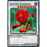 HAC1-IT121 Naturia Leodrago comune 1a Edizione (IT) -NEAR MINT-