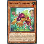 DABL-IT020 Naturia Grillotalpa Comune 1a Edizione (IT) -NEAR MINT-