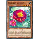 DABL-IT021 Naturia Camelia Comune 1a Edizione (IT) -NEAR MINT-