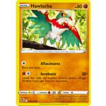 098 / 195 Hawlucha Comune normale (IT) -NEAR MINT-