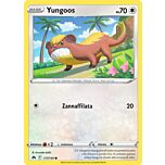 117 / 159 Yungoos Comune normale (IT) -NEAR MINT-