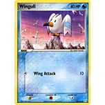 070 / 100 Wingull comune (EN) -NEAR MINT-