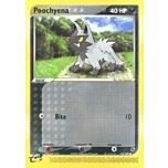 063 / 109 Poochyena G-31 comune (EN) -NEAR MINT-