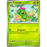 010 / 165 Caterpie Comune normale (IT) -NEAR MINT-