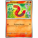 036 / 162 Sizzlipede Comune normale (IT)