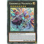 RA02-IT038 Esosorelle Magnifica Rara Collector 1a Edizione (IT) -NEAR MINT-