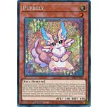 RA02-IT018 Purrely Rara Segreta 1a Edizione (IT) -NEAR MINT-