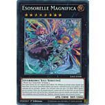 RA02-IT038 Esosorelle Magnifica Rara Segreta 1a Edizione (IT) -NEAR MINT-