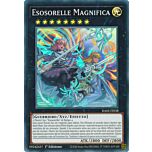 RA02-IT038 Esosorelle Magnifica Super Rara 1a Edizione (IT) -NEAR MINT-