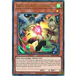 RA02-IT006 Droll & Uccello Serratura (Versione B) Ultra Rara 1a Edizione (IT) -NEAR MINT-
