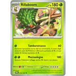 016 / 167 Rillaboom Non Comune normale (IT) -NEAR MINT-