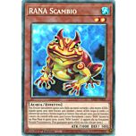 RA03-IT005 RANA Scambio Rara Collector 1a Edizione (IT) -NEAR MINT-