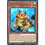 RA03-IT005 RANA Scambio Ultra Rara 1a Edizione (IT) -NEAR MINT-