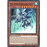 RA03-IT009 Tidal, Drago Sovrano delle Cascate Super Rara 1a Edizione (IT) -NEAR MINT-