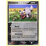 079 / 113 Poochyena comune (IT) -NEAR MINT-