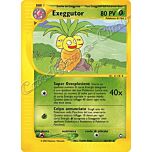 012 / 147 Exeggutor rara (IT) -NEAR MINT-