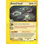 047 / 144 Buried Fossil comune (IT) -NEAR MINT-