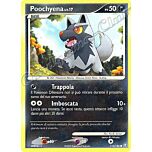 116 / 146 Poochyena LIV.17 comune (IT) -NEAR MINT-