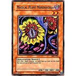 MFC-072 Magical Plant Mandragola comune Unlimited -NEAR MINT-