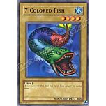 MRD-098 7 Colored Fish comune Unlimited -NEAR MINT-