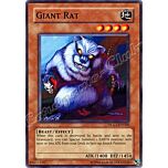 DLG1-EN068 Giant Rat comune  -GOOD-