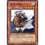 DLG1-EN076 Sonic Bird comune -NEAR MINT-